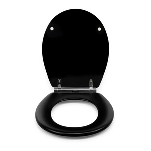 Black Soft Close Toilet Seat with Quick Release Oval Fit