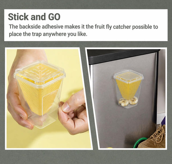 Fly traps for kitchens and plants