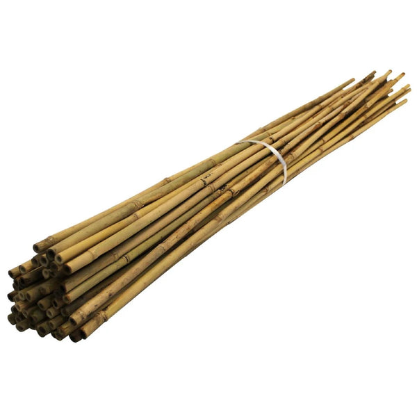 Pack Of 40 4ft (120cm) Bamboo Canes