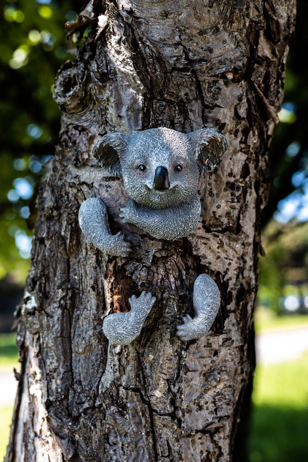 Resin koala face and paws mounted on a tree