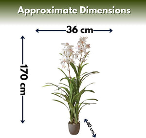 Tall white orchid faux plant in decorative pot
