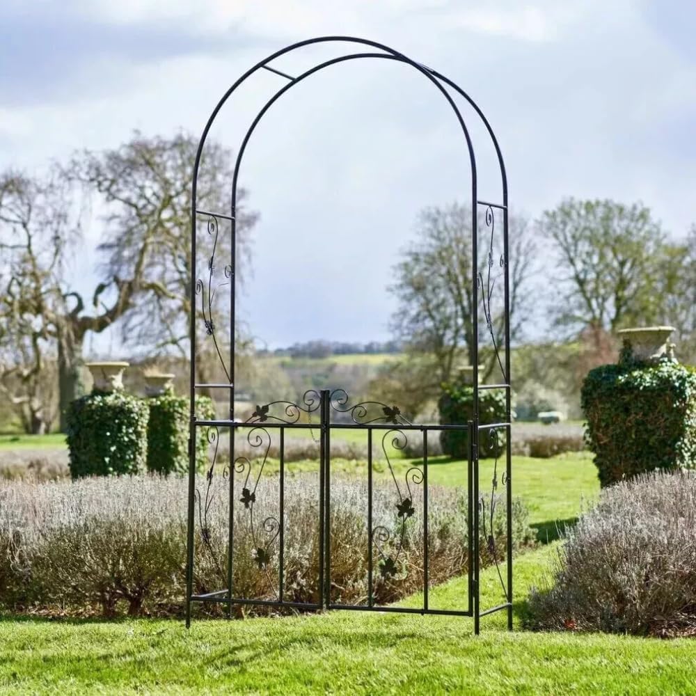 Large black metal garden arch for climbing plants