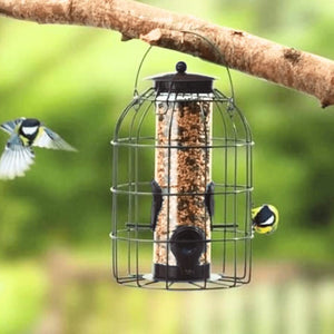 Large squirrel proof wild bird seed feeder