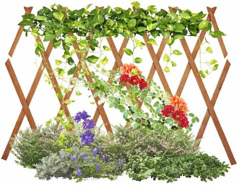 Garden trellis for climbing plants