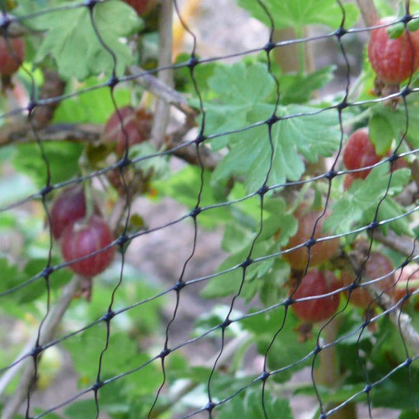 Outdoor black mesh netting for vegetable patches