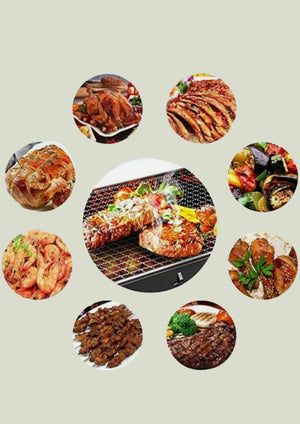 Portable outdoor cooking stove with carry case