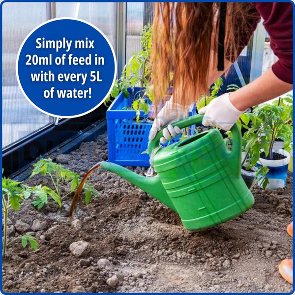 vegetable fertiliser for tomatoes