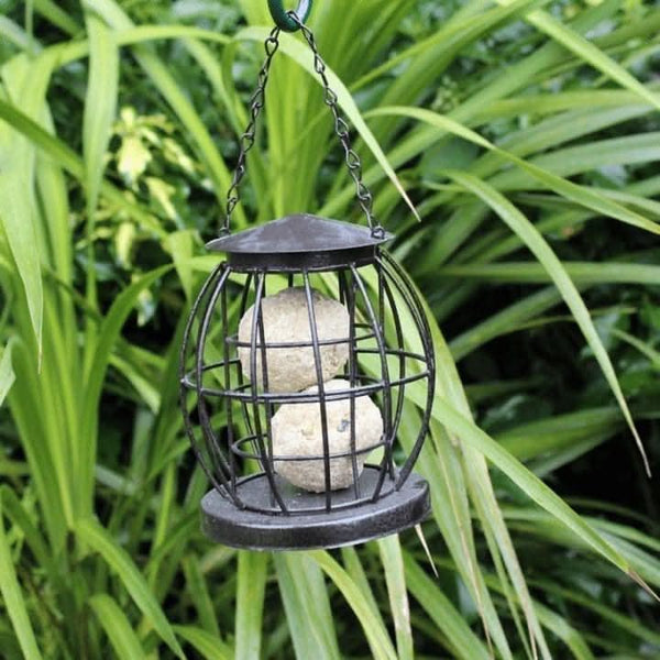 metal-wire-small-caged-lantern-bird-feeder-fat-ball
