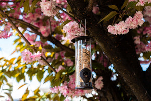 Outdoor hanging bird feeder for wildlife gardens