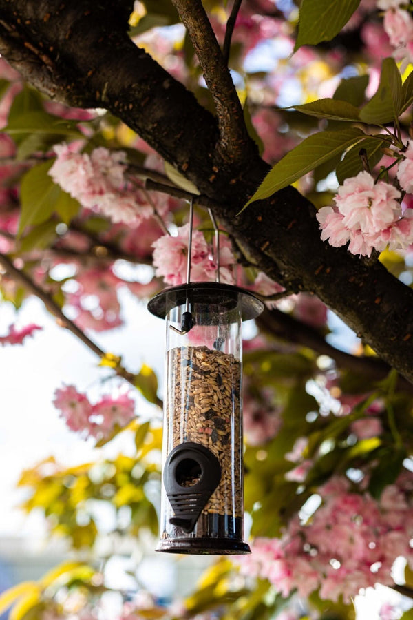 Metal garden bird feeder for wild birds