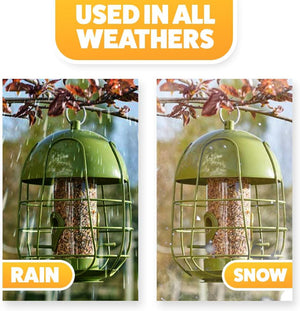 Garden bird feeder with protective cage