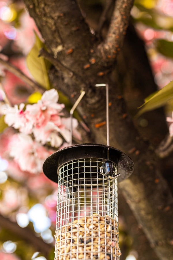Metal hanging bird feeder with removable refill lid