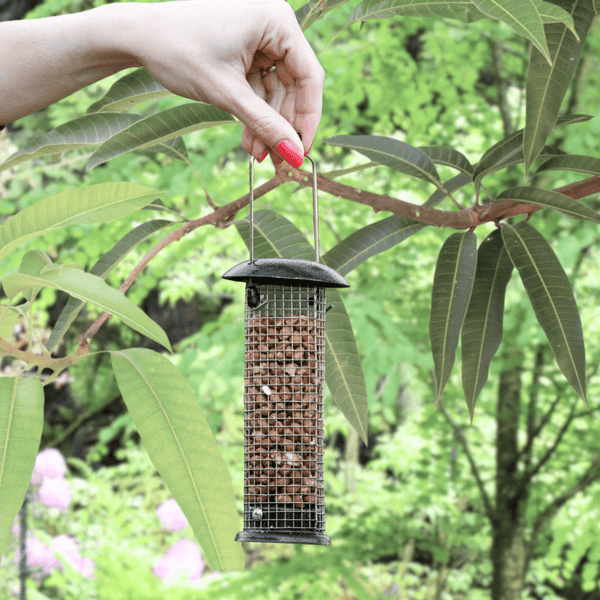 Hanging garden bird feeder filled with suitable peanuts