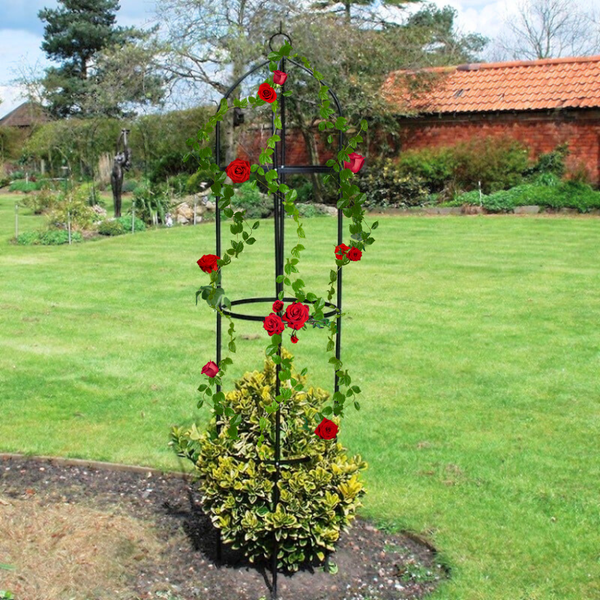 Freestanding metal obelisk for climbing flowers and vines