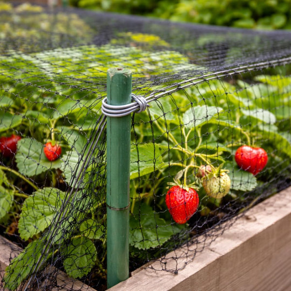 Rust resistant plant supports for outdoor gardens.