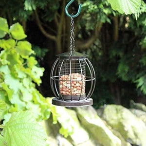 Mini caged nut bird feeder with squirrel guard