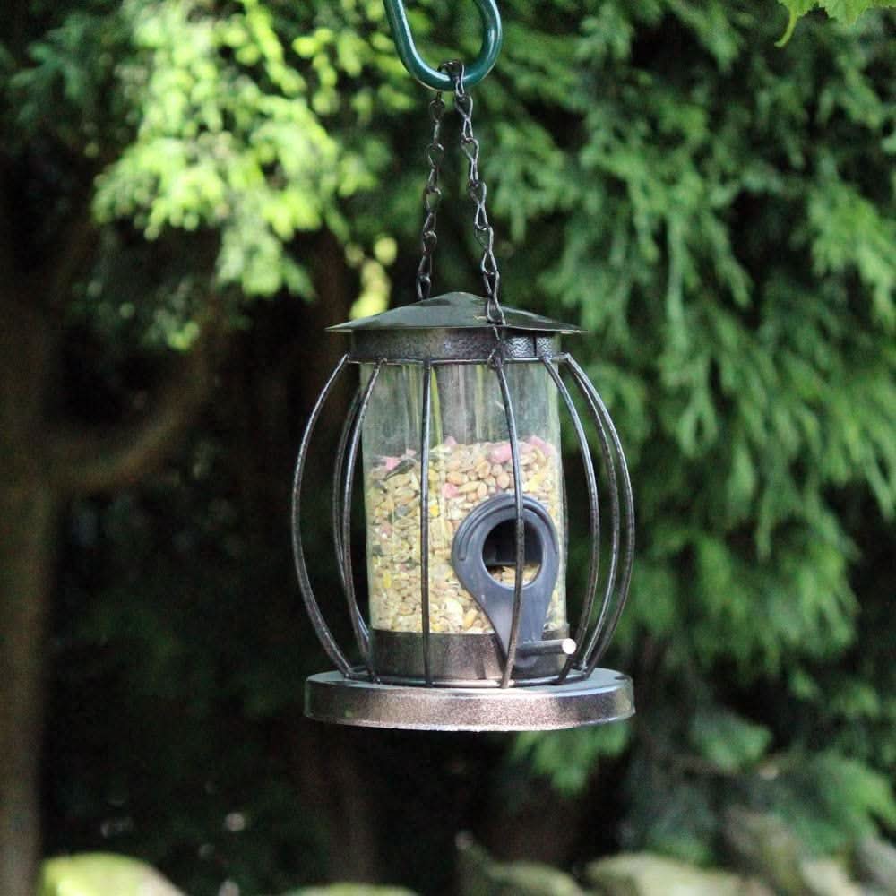 Mini lantern bird seed feeder with protective cage