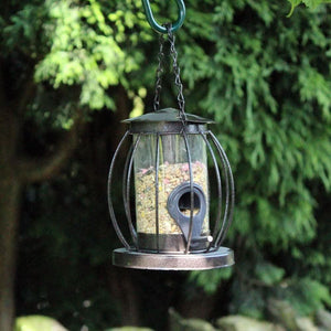 Mini lantern bird seed feeder with protective cage