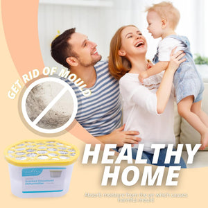 Compact non electric dehumidifier for home