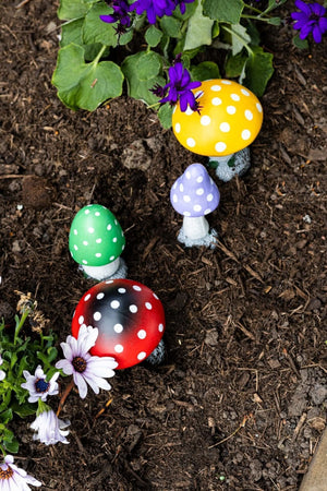 Bright colourful toadstools positioned amongst garden plants
