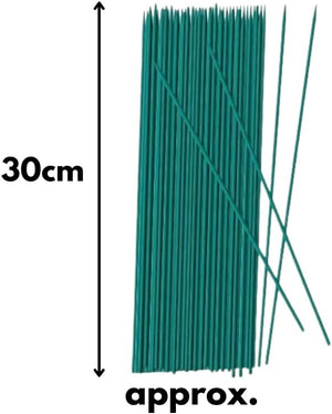 30cm bamboo canes supporting vegetable plants