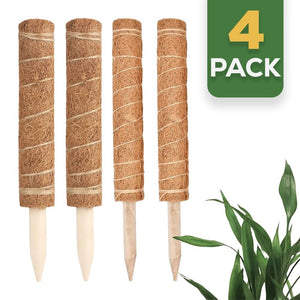 Four climbing plant support stakes arranged together