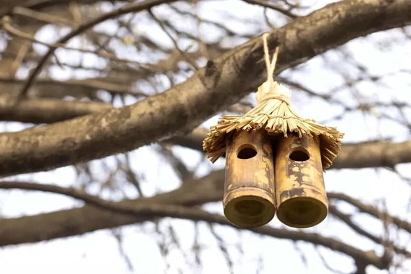 Hanging bird shelter for robins