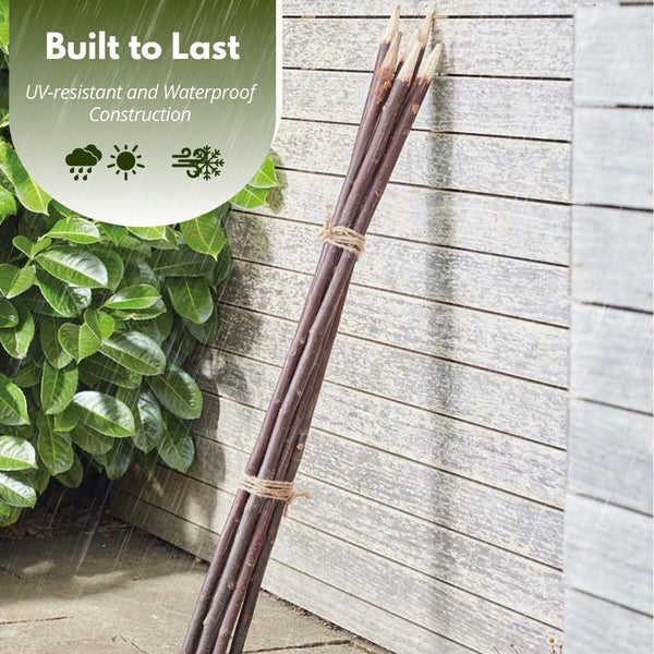 Willow canes for indoor and outdoor gardening.