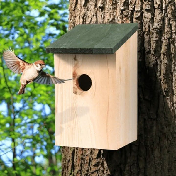 Wooden garden bird box shown from the front