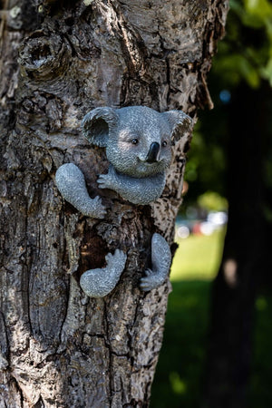Novelty koala tree peeker displayed outdoors