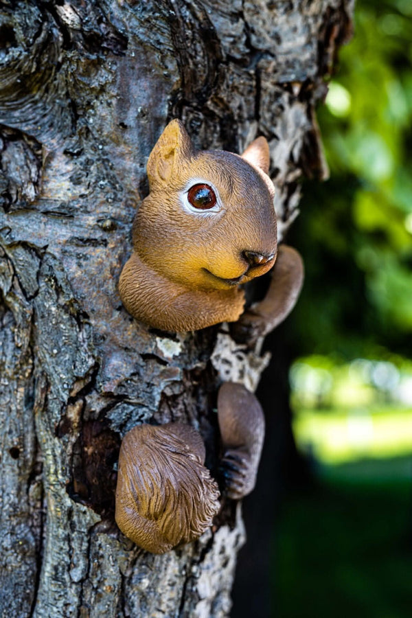 Novelty tree hugging squirrel decoration