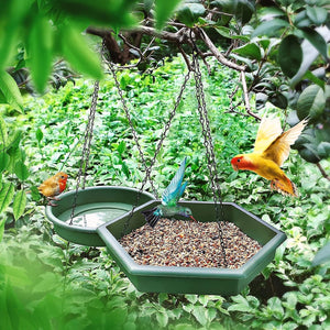 garden bird feeding and watering station