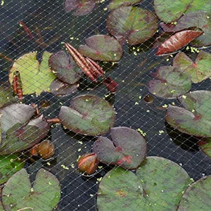 Garden bird deterrent mesh roll
