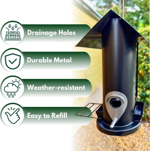 Hanging seed feeder attracting finches and robins.