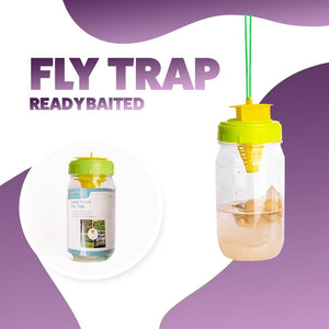 baited fly catcher