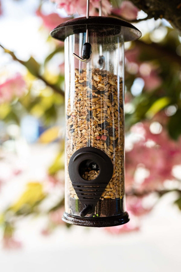 Outdoor bird seed feeder with two feeding ports