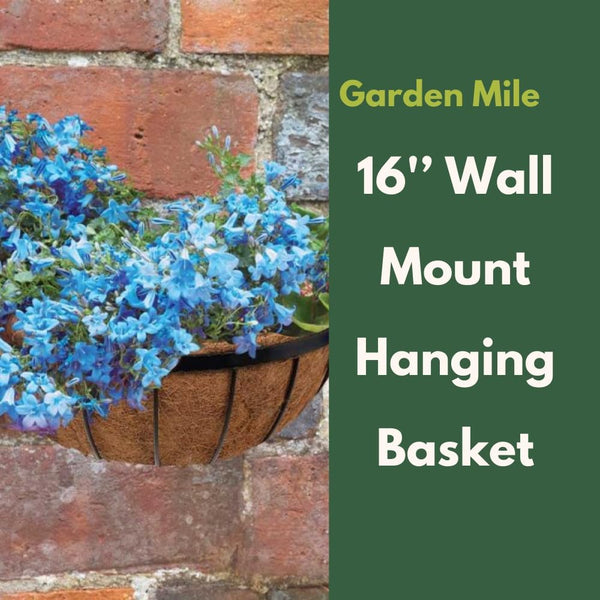 Powder-coated metal hanging basket for garden fences.