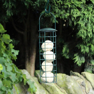 plastic coated metal suet ball feeder
