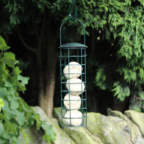 plastic coated metal suet ball feeder