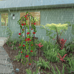 Outdoor climbing plant frame for cottage garden décor