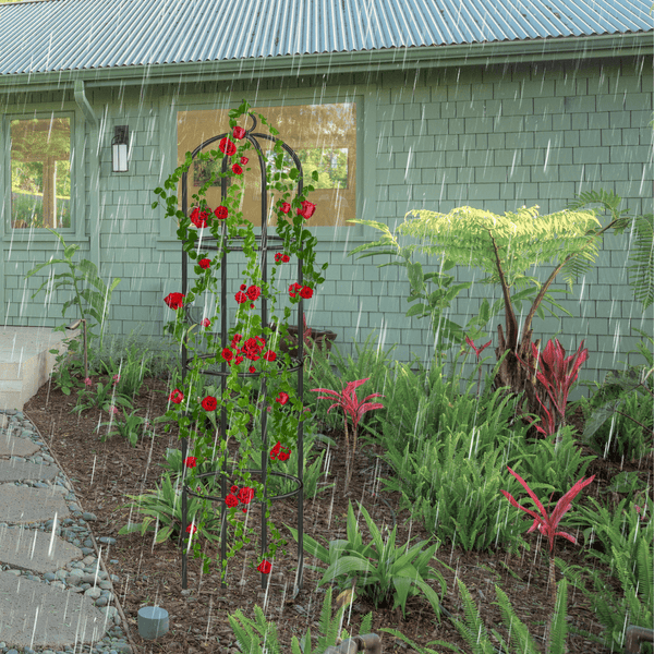 Outdoor climbing plant frame for cottage garden décor