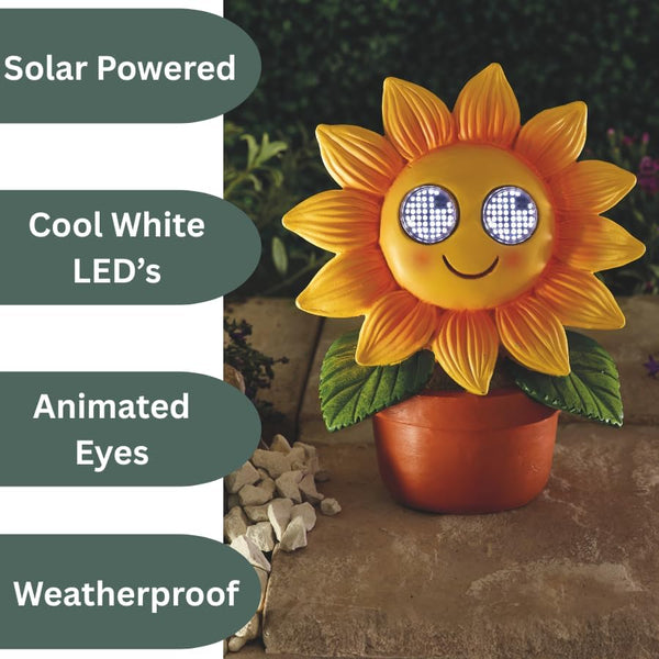 Decorative solar garden ornament with LED illumination