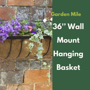 Decorative wall planter displaying vibrant seasonal blooms.