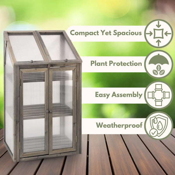 Mini greenhouse for seedling protection