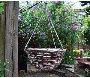 decorative rattan planter