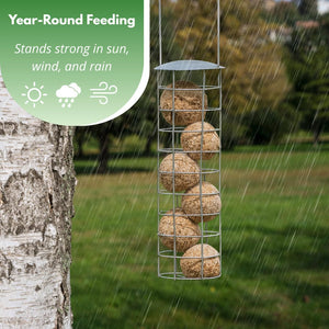 Outdoor wild bird food in a convenient six-pack.