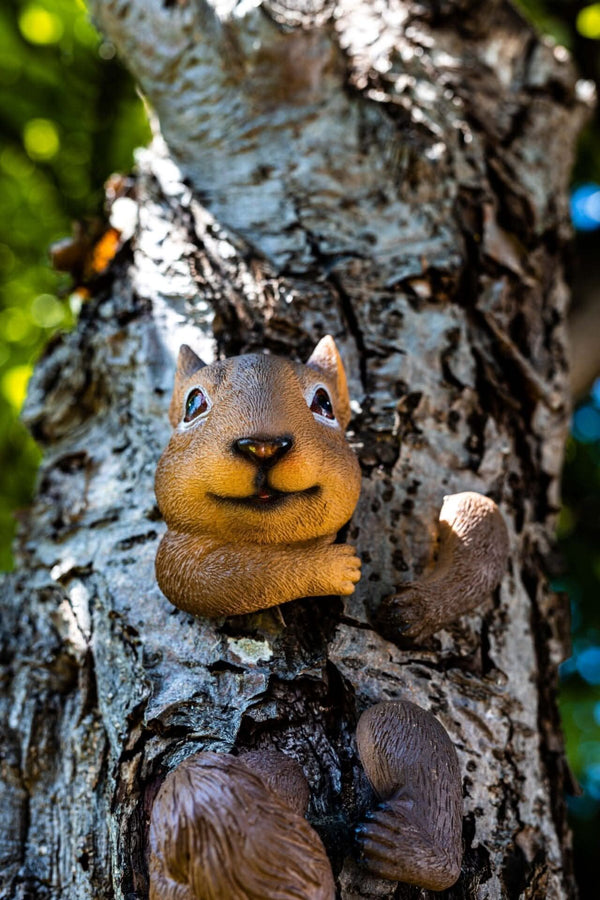 Decorative squirrel tree peeker for garden