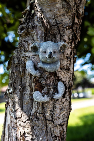 Peeking koala resin tree hugger garden ornament