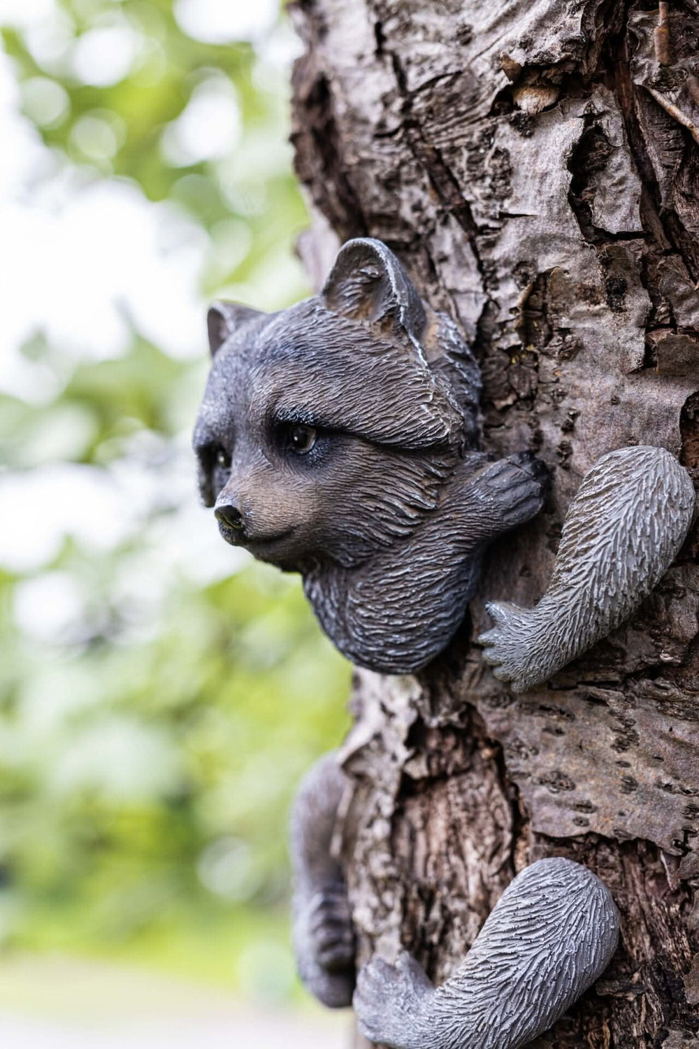 Peeking raccoon garden ornament