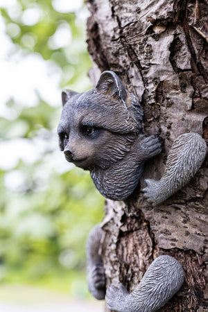 Tree hugging resin raccoon decoration